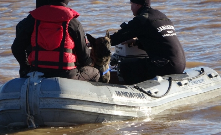 Jandarmanın kadavra köpekleri Çanakkale’de ilki başardı