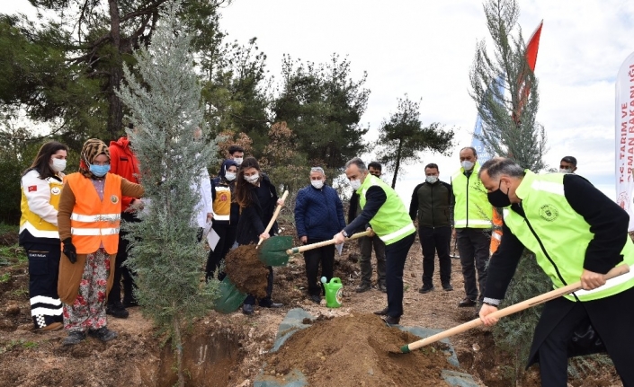 Sağlık kahramanları ormanı