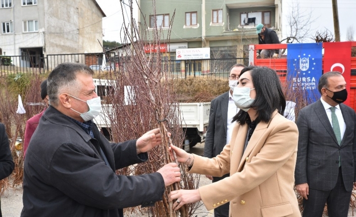 Toprak Büyükşehir’le bereketleniyor