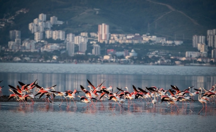 Türkiye’nin ilk Yeşil Şehir Eylem Planı İzmir için hazırlandı