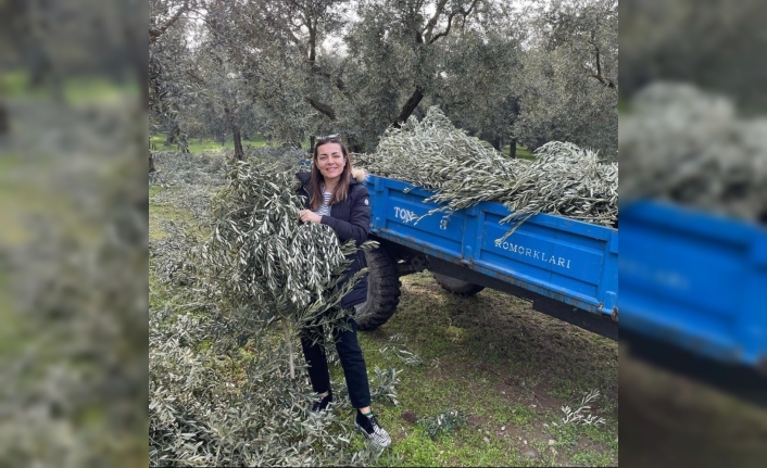 Ünlü oyuncu Burcu Kara babasının tarlasında zeytin dalı topladı