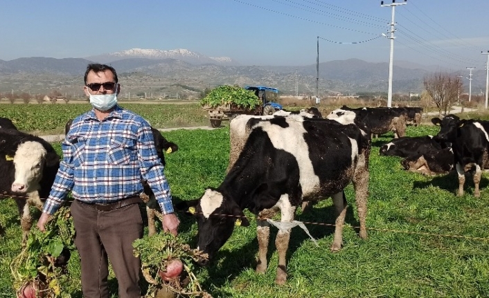 Üretici maliyetten, tüketici komisyoncudan şikayetçi