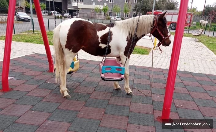 Salıncaklara dolanan atı görenler şaşırdı