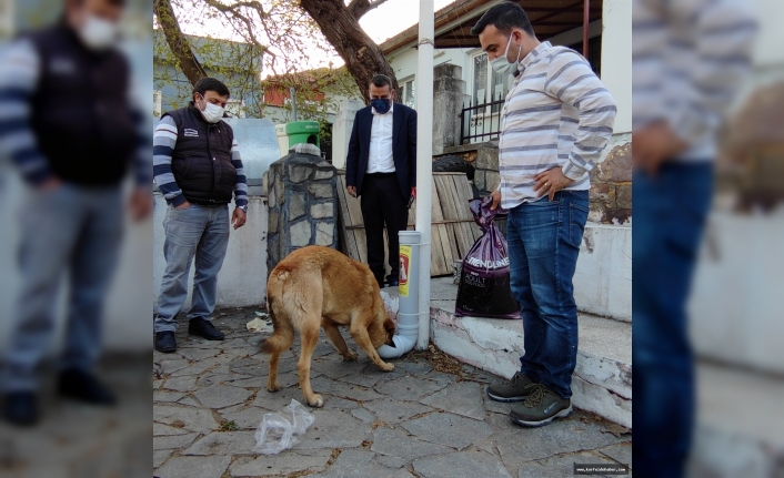 ''CAN DOSTLAR YAŞASIN'' PROJESİ ALTINOLUK'TA