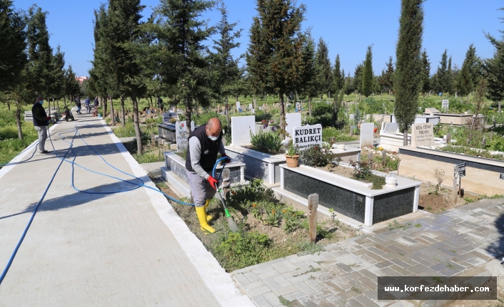 Kabristan çiçek açtı