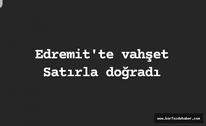 Sondakika: Edremit'te vahşet! Eşine satırla saldırdı