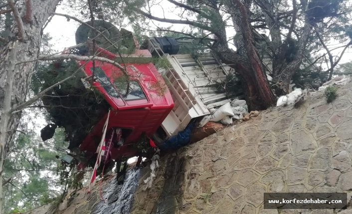 Şarampole uçarken ağaçlara durup kaldı