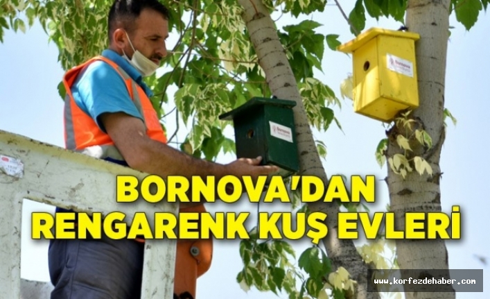 Bornova’dan rengarenk Kuş Evleri