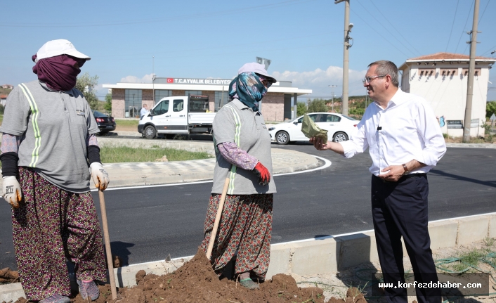 Ergin'den çam sakızı çoban armağanı