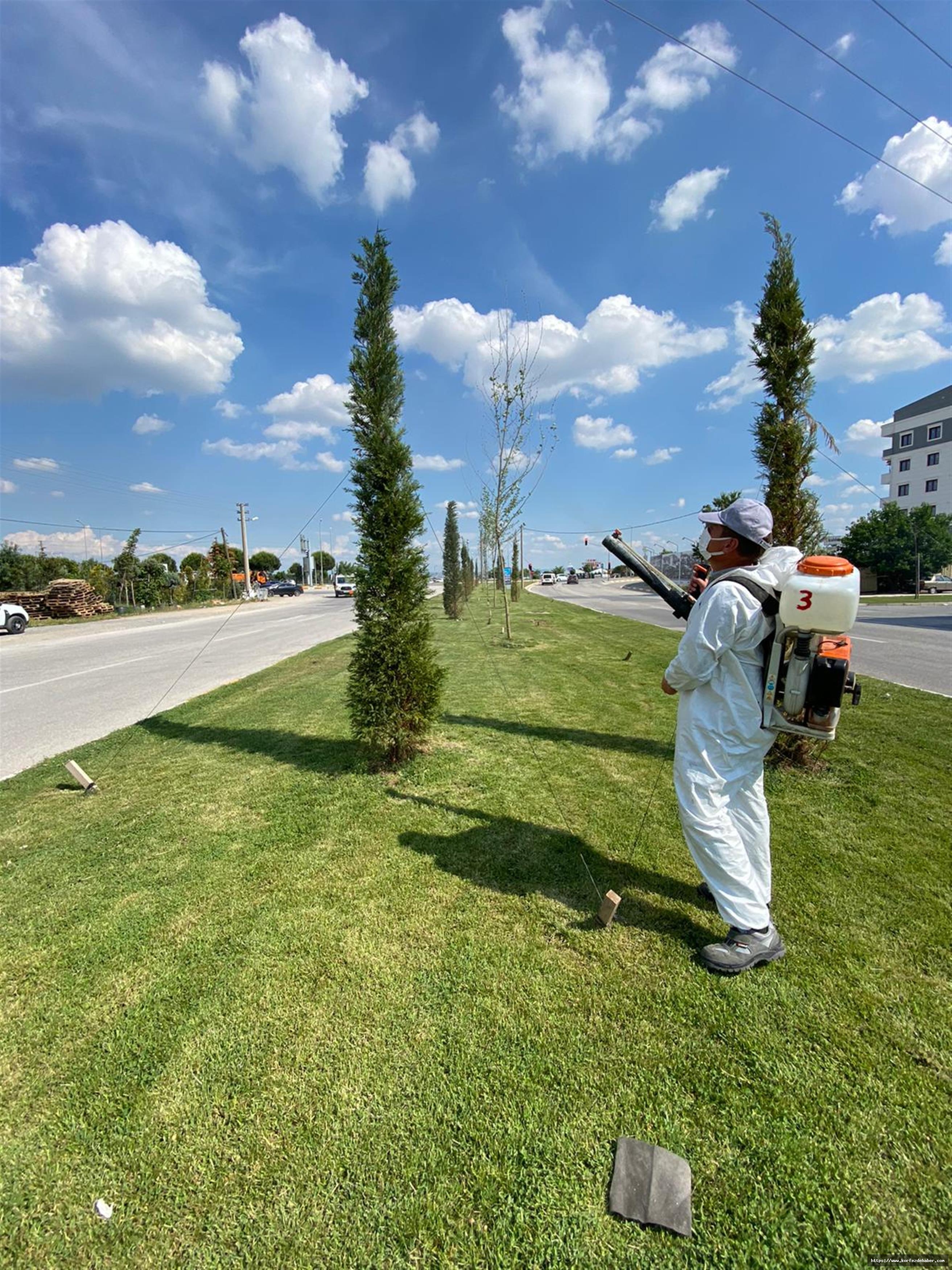 BBB, Mantari hastalığı ile mücadelede yüzde 95 başarılı