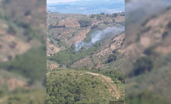 Edremit ilçesinde çıkan ve 2 hektarlık ormanlık alanda etkili olan yangın kontrol altına alındı
