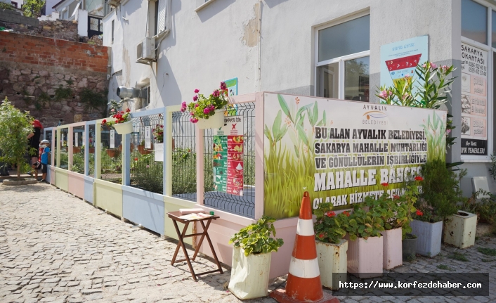 ''Eko Mahalle'' Sakarya mahallesi'nde yaşam buldu.