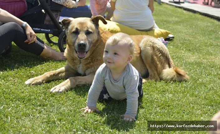 Pet Festivali Kemerburgaz'da yapılacak