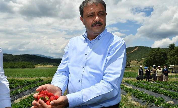 Vali Şıldak’tan İşletmelere Ziyaret