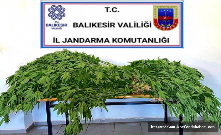 Balıkesir polis- jandarma 24 saat (09.07.2021)