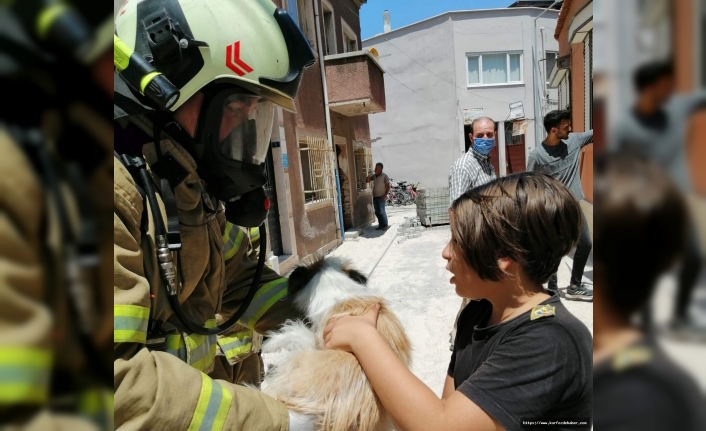 Edremit’te köpeği yanmaktan itfaiye ekipleri kurtardı  