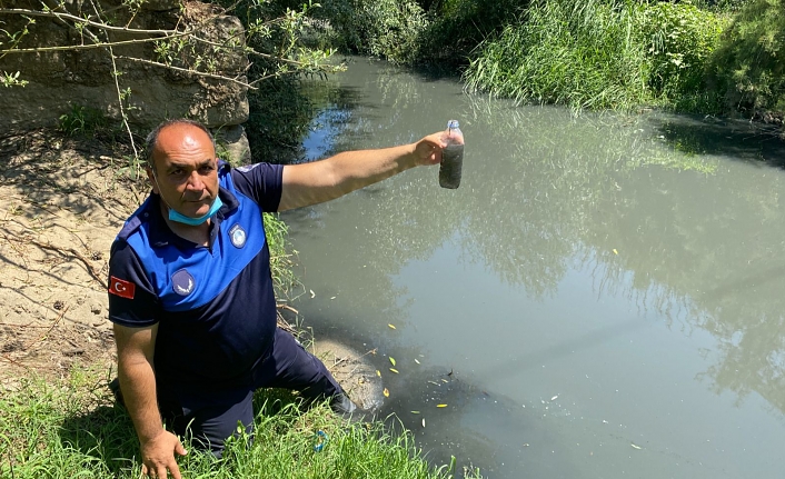 Burhaniye'de Deniz Kirliliği Raporu Hazırlandı