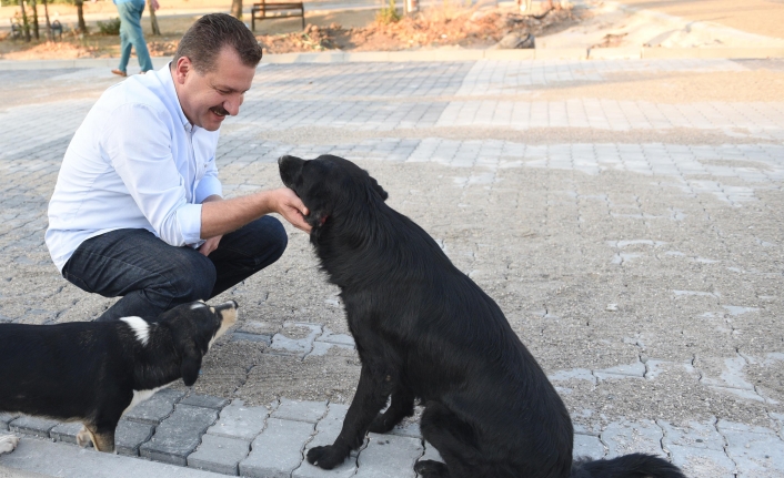 Büyükşehir’den sokaktaki canlar için  "Aileye katılma hareketi"