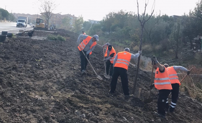 Büyükşehirle yeşil alanlar artıyor