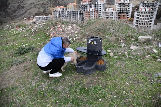  Can dostların mamaları ‘patiler’ sayesinde ıslanmayacak