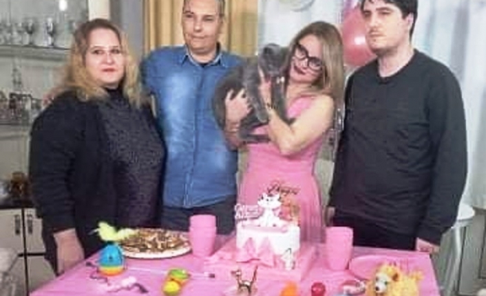 Şanslı kedi Gümüş’e 4. doğum günü partisi