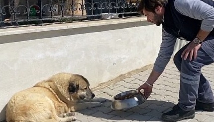 Bir ilk, kemik öğütücü makine imal edildi