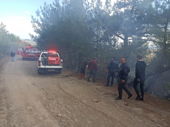 Son Dakika: Balya'da Ormanlık alanda yangın çıktı