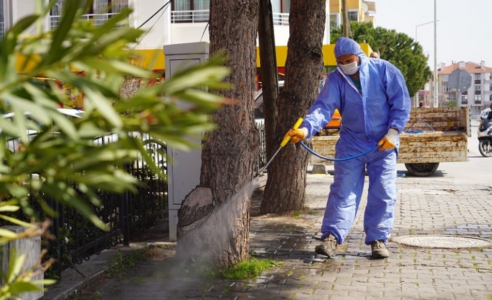 Altıeylül Belediyesi Park ve Bahçeler Müdürlüğü’ne bağlı ekipler Altıeylül genelinde bahar temizliğine başladı.