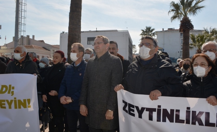 Ayvalıklılardan  “Zeytin Ağacı” tepkisi