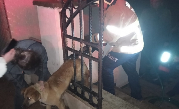 Erdek'te sıkışan köpek geçe-medi.