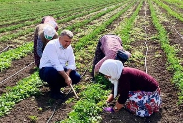 Milletvekili Mustafa Canbey Dünya Kadınlar Günü’nü Tebrik Etti