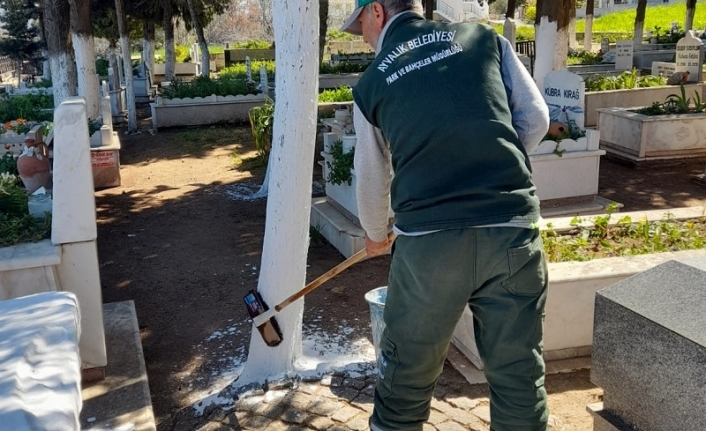 Ayvalık'ta mezarlıklar çiçek açıyor