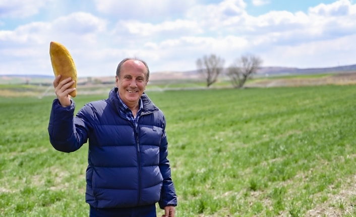 Memleket Partisi Genel Başkanı Muharrem İnce, buğday tarlasında basın toplantısı düzenledi. 