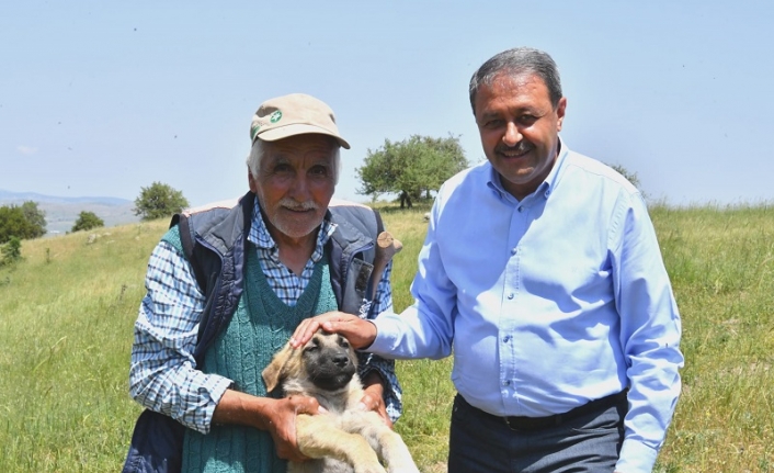 Dağda çobanların Vali şaşkınlığı