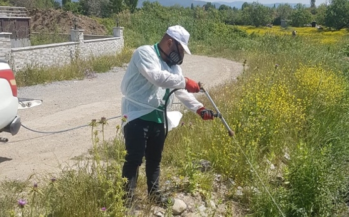 Sineksiz bir Edremit için..