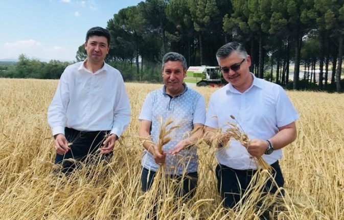 Savaştepe Mesleki ve Teknik Anadolu Lisesinde ilk hasat heyecanı yaşandı