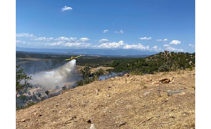 Ayvalık’ta ormanlık bölge sınırında çıkan arazi yangını kontrol altına alındı