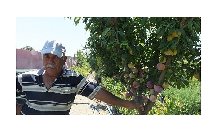 Balıkesir’de işçi emeklisi vatandaş kendini yeşile adadı