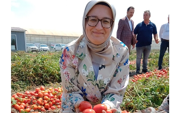 Belgin Uygur İlçe Ziyaretlerine Devam  Ediyor