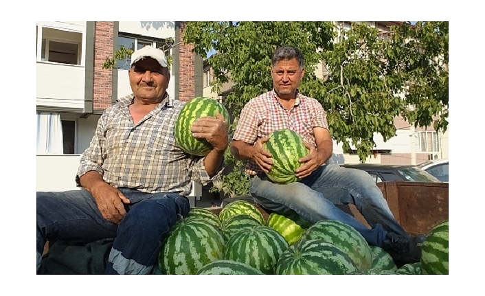 Burhaniye de karpuz çiftçinin yüzünü güldürdü