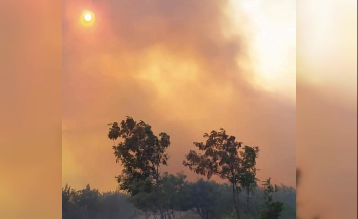 Susurluk'ta orman yangını kontrol altına alındı