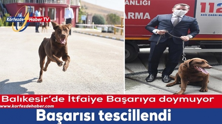 Balıkesir İtfaiyesinin büyük başarısı. Labrador ödülle döndü