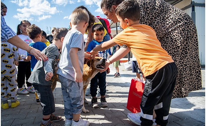 Bornova’da Sokak Canlarına Özel İlgi