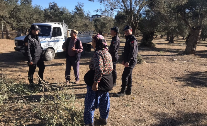 Edremit’te polis zeytin bahçelerinde denetim yaptı  