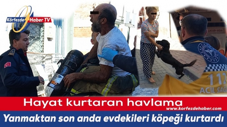 Hayat kurtaran havlama