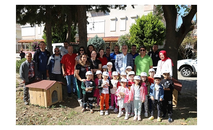 Sokak hayvanları Koruma gününde kedi evleri dağıtıldı