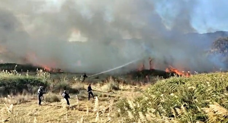 Son Dakika: Edremit Ovası'nda korkutan yangın