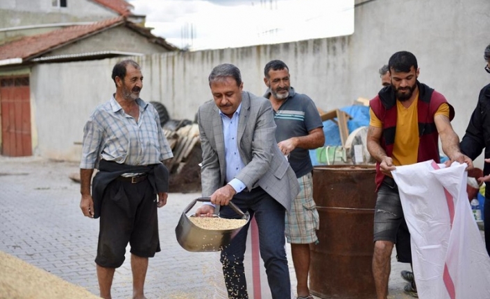 Vali Şıldak, Çeltik Hasadına Katıldı