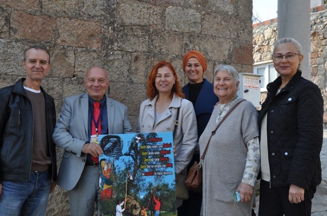 Ayvacık'ta zeytin hasat şenliği