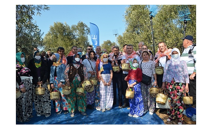 Ayvalık’ta Zeytin Festivali Kapsamında İlk Hasat Barbunun Çiftliği’nde Yapılacak